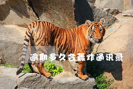 逾期多久会轰炸通讯录 逾期多久会轰炸通讯录