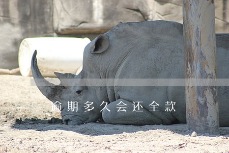 逾期多久会还全款 逾期多久会还全款