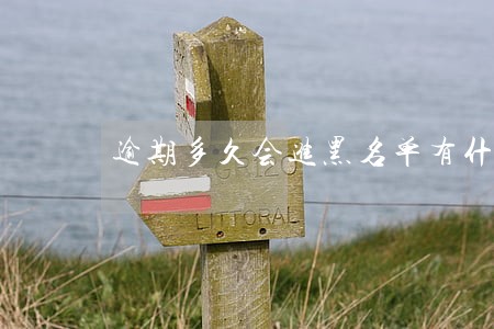 逾期多久会进黑名单有什么影响