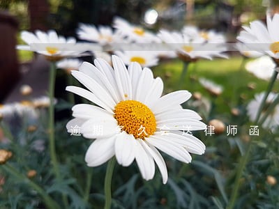 逾期多久会送律师函 逾期多久会送律师函
