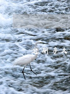 逾期多久会通知家庭 逾期多久会通知家庭