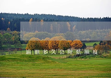 逾期多久会降低额度 逾期多久会降低额度