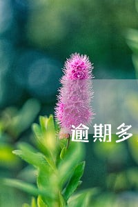 逾期多久修复 逾期多久修复