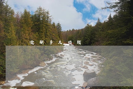 逾期多久借钱