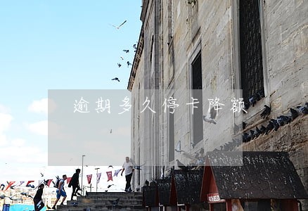 逾期多久停卡降额 逾期多久停卡降额
