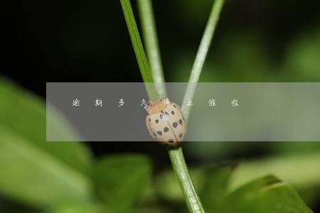 逾期多久停止催收 逾期多久停止催收