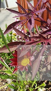 逾期多久储蓄卡会冻结 逾期多久储蓄卡会冻结