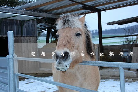 逾期多久储蓄卡会被冻结 逾期多久储蓄卡会被冻结
