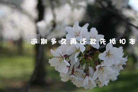逾期多久再还款先抵扣本金 逾期多久再还款先抵扣本金
