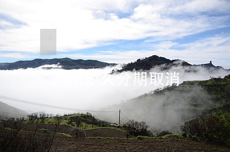 逾期多久分期取消 逾期多久分期取消