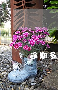 逾期多久列为失信 逾期多久列为失信