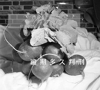 逾期多久判刑 逾期多久判刑