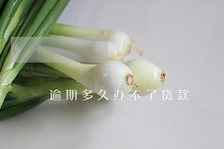 逾期多久办不了贷款 逾期多久办不了贷款