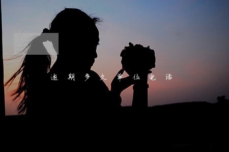逾期多久单位电话 逾期多久单位电话
