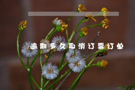 逾期多久取消订票订单 逾期多久取消订票订单