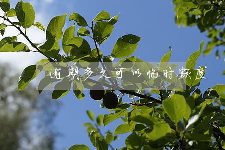 逾期多久可以临时额度 逾期多久可以临时额度
