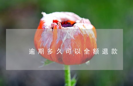 逾期多久可以全额退款