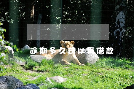 逾期多久可以再借款 逾期多久可以再借款