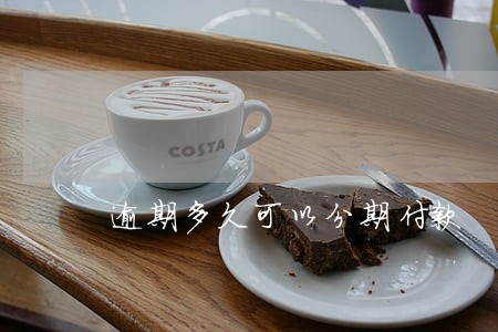 逾期多久可以分期付款 逾期多久可以分期付款