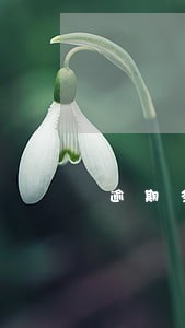 逾期多久可以办理etc 逾期多久可以办理etc