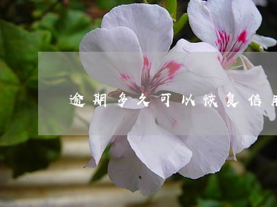 逾期多久可以恢复信用 逾期多久可以恢复信用