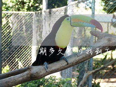 逾期多久可以找到工作 逾期多久可以找到工作