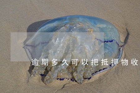 逾期多久可以把抵押物收回 逾期多久可以把抵押物收回
