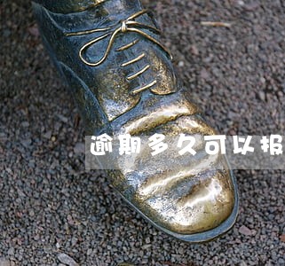 逾期多久可以报案 逾期多久可以报案