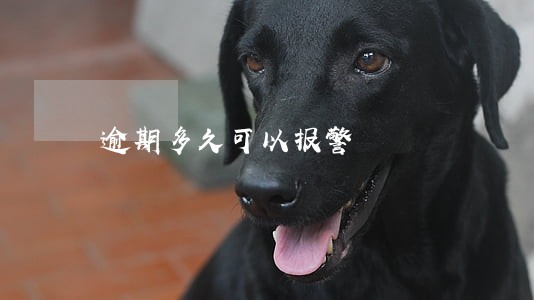 逾期多久可以报警 逾期多久可以报警