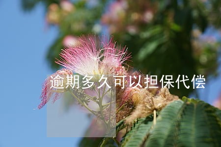 逾期多久可以担保代偿 逾期多久可以担保代偿