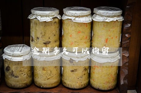 逾期多久可以拘留