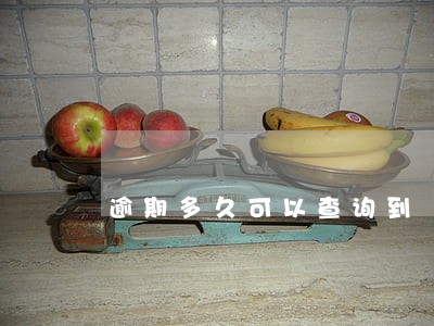 逾期多久可以查询到 逾期多久可以查询到