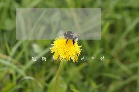 逾期多久可以申请 逾期多久可以申请