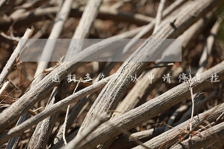 逾期多久可以申请停息挂帐 逾期多久可以申请停息挂帐