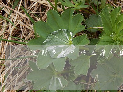 逾期多久可以立案诈骗贷款 逾期多久可以立案诈骗贷款
