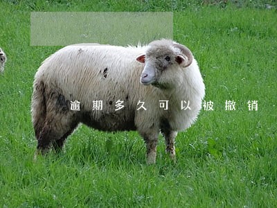 逾期多久可以被撤销 逾期多久可以被撤销