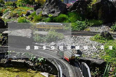 逾期多久可以被纳入失信人名单 逾期多久可以被纳入失信人名单