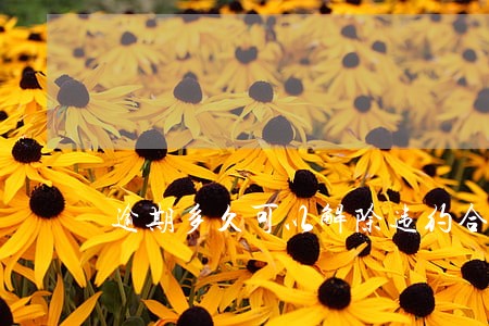 逾期多久可以解除违约合同 逾期多久可以解除违约合同