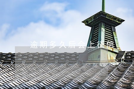 逾期多久后会上征信