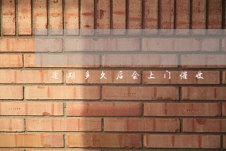 逾期多久后会上门催收