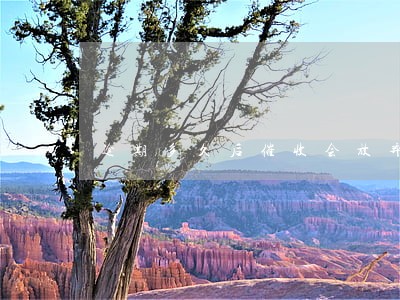 逾期多久后催收会放弃 逾期多久后催收会放弃
