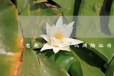 逾期多久后可以消除征信 逾期多久后可以消除征信