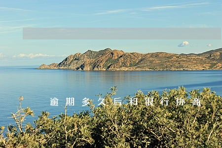 逾期多久后和银行协商 逾期多久后和银行协商