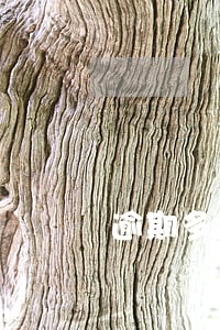 逾期多久多少钱会成为失信人 逾期多久多少钱会成为失信人