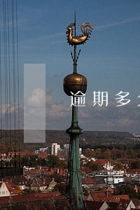 逾期多久就不催收