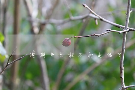 逾期多久就不打电话了 逾期多久就不打电话了