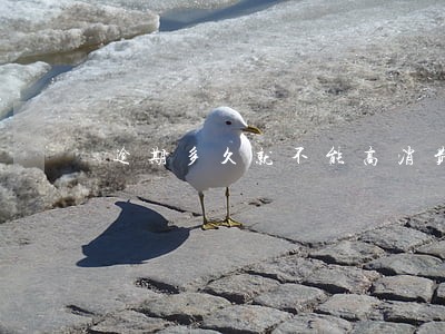 逾期多久就不能高消费了 逾期多久就不能高消费了