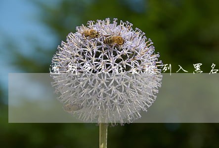 逾期多久就会被列入黑名单了 逾期多久就会被列入黑名单了