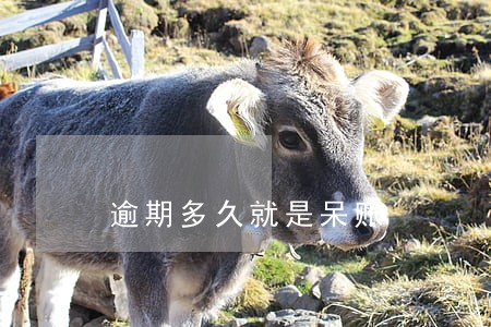 逾期多久就是呆账 逾期多久就是呆账