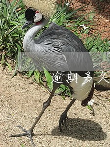 逾期多久属于呆账 逾期多久属于呆账
